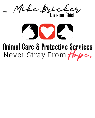 Never-Stray-(3).png Never-Stray-(3).png