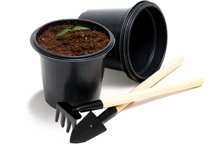 Default Alt Text Default Alt Text