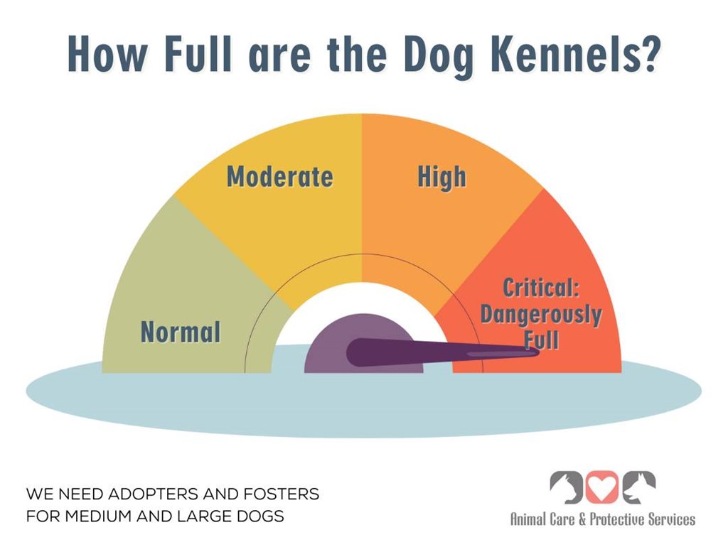 ACPS Critical Capacity Graphic