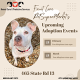 Fruit Cove Pet Supermarket Adoption Event Flyer