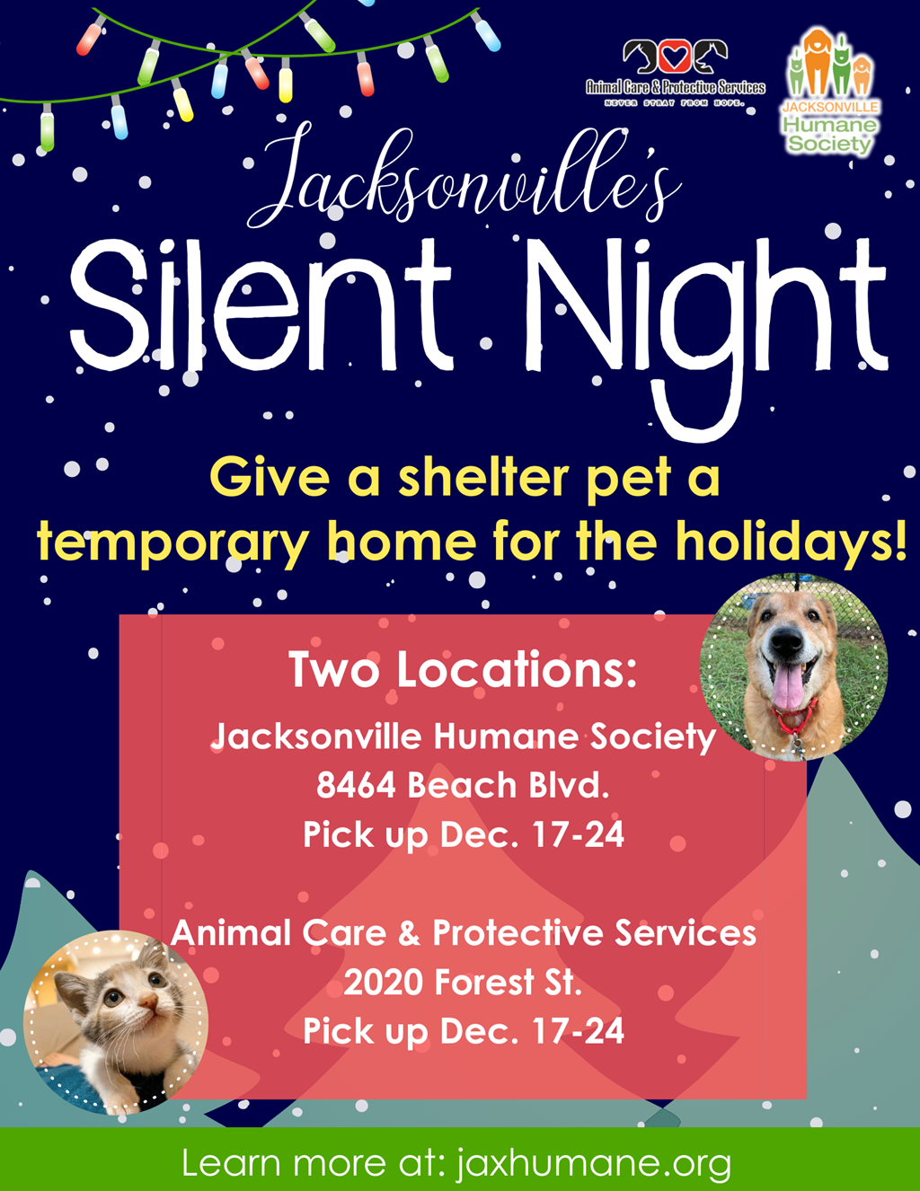 Jacksonville Silent Night