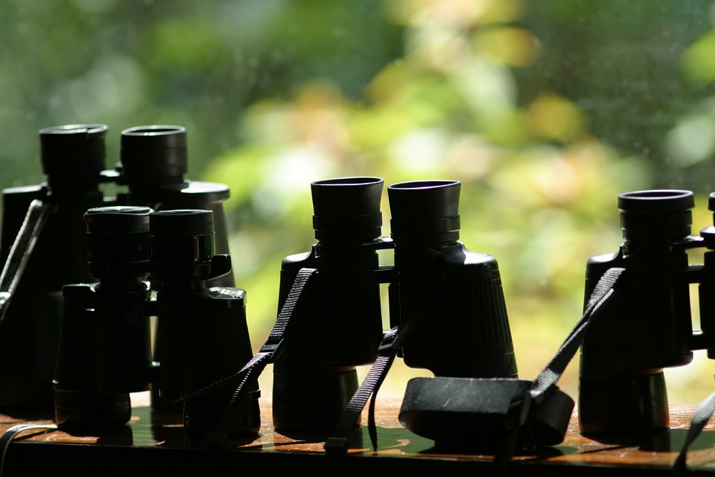 Four pairs of binoculars on a window ledge