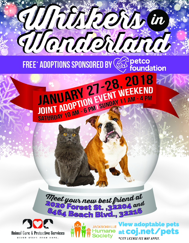 WHISKERS IN WONDERLAND FLYER