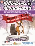 WHISKERS IN WONDERLAND FLYER