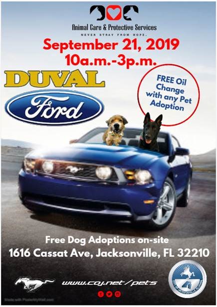 Duval Ford Adoption Event Flyer featuring an image of a dog and a cat driving a car