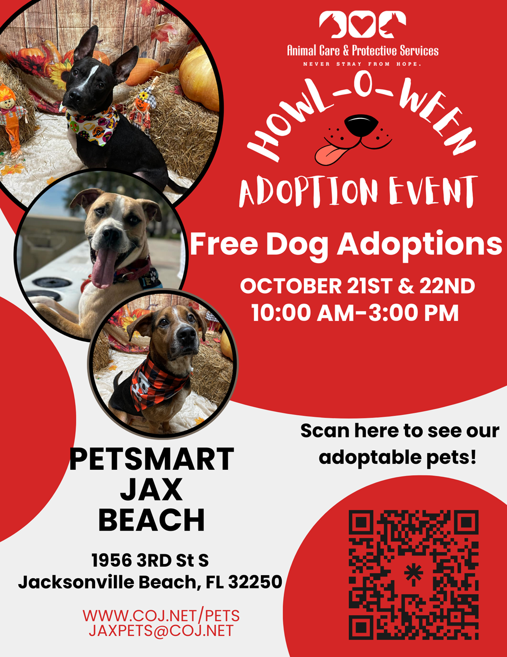 Free dog best sale adoptions this weekend