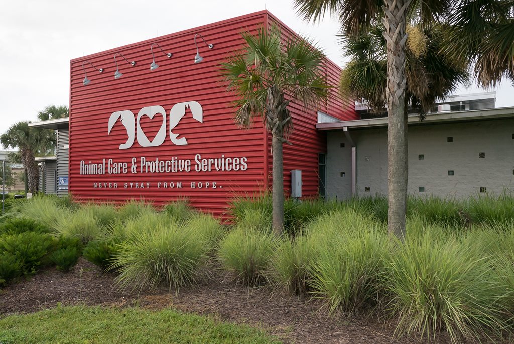 exterior shot of acps building at 2020 forest street