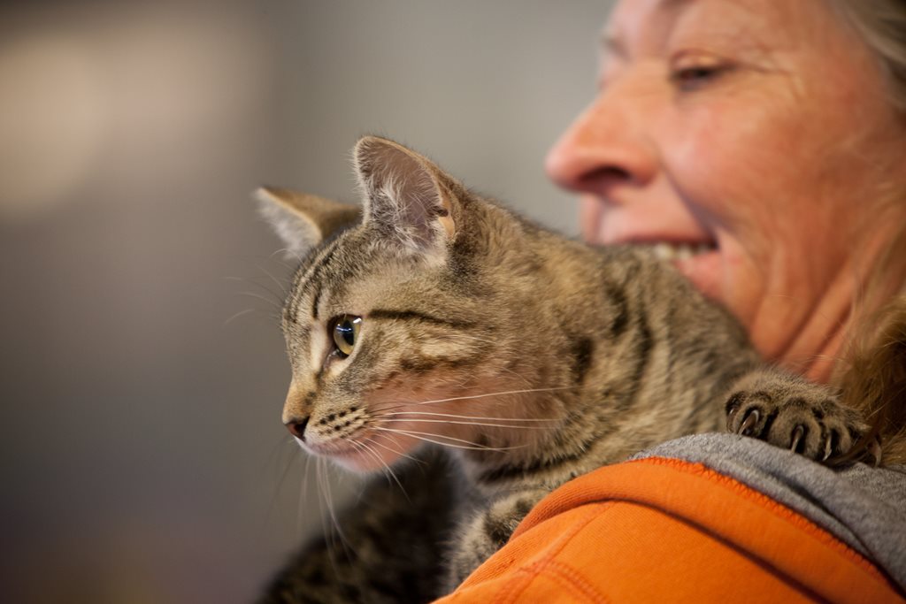 Woman holding a cat