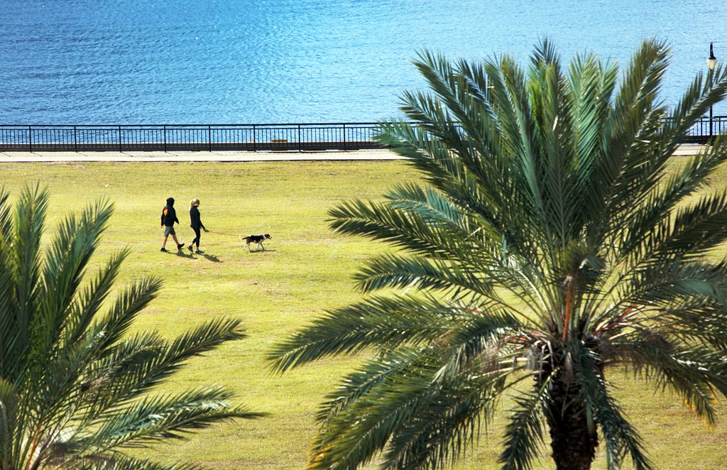 People walking dog along water