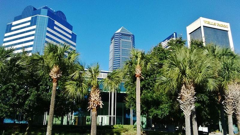 Because Trees Help Keep Pollution Out Of The St. Johns River, Jacksonville Is Mapping Them