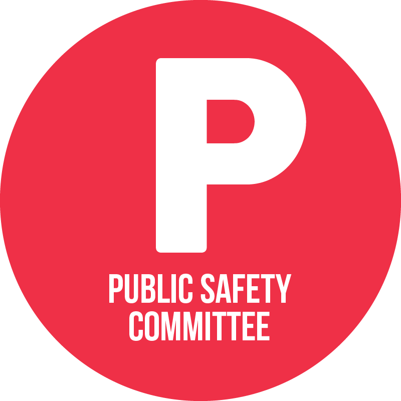 public safety icon