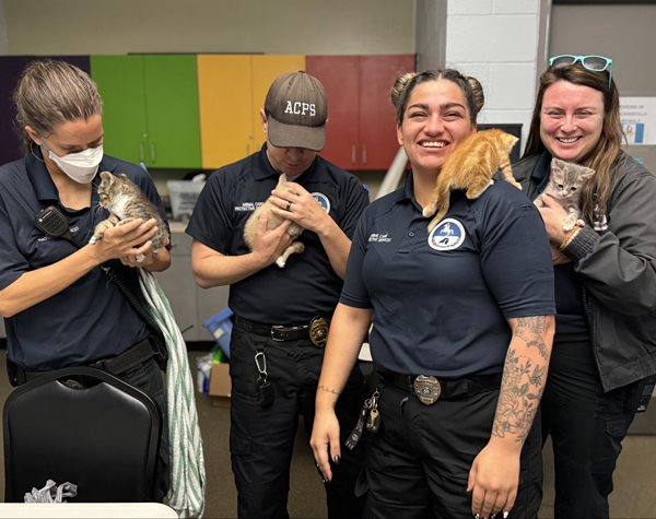 Animal Services Officers with Kittens