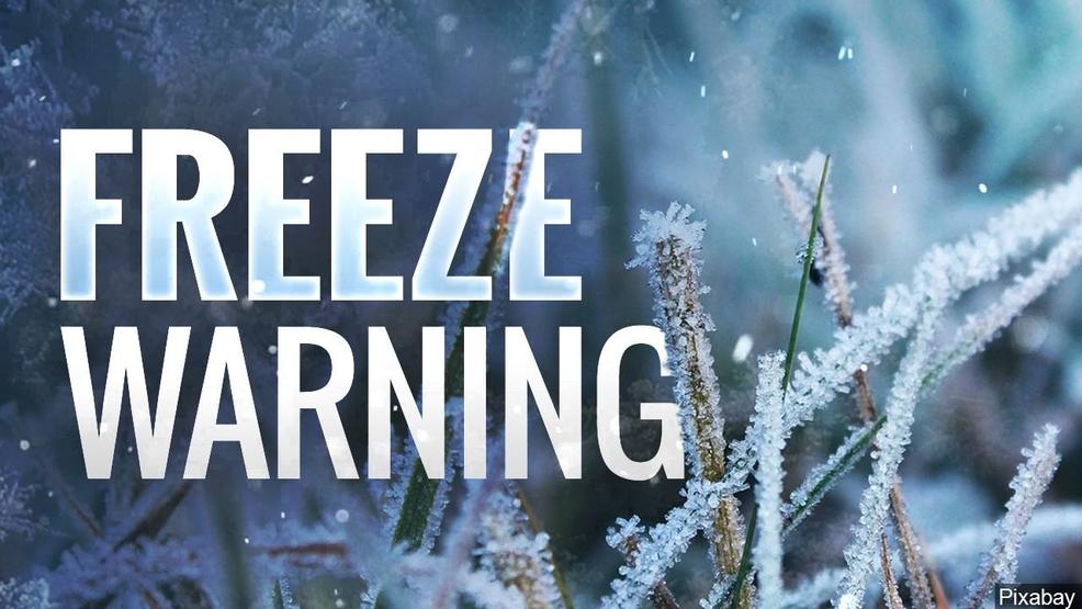 Freeze Warning with ice covered plant