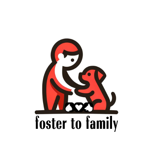 foster to family logo