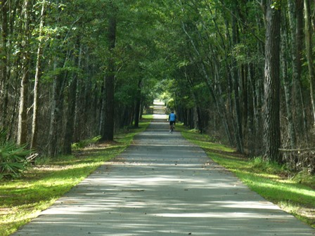 A bicyclist riding along a tree lined trail