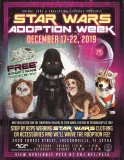 Star Wars Flier with dogs and cats in Star Wars costumes