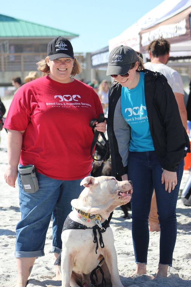 2 women standing on beach with dog