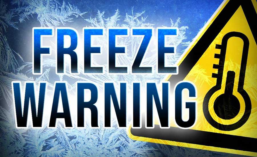 Freeze warning with thermometer