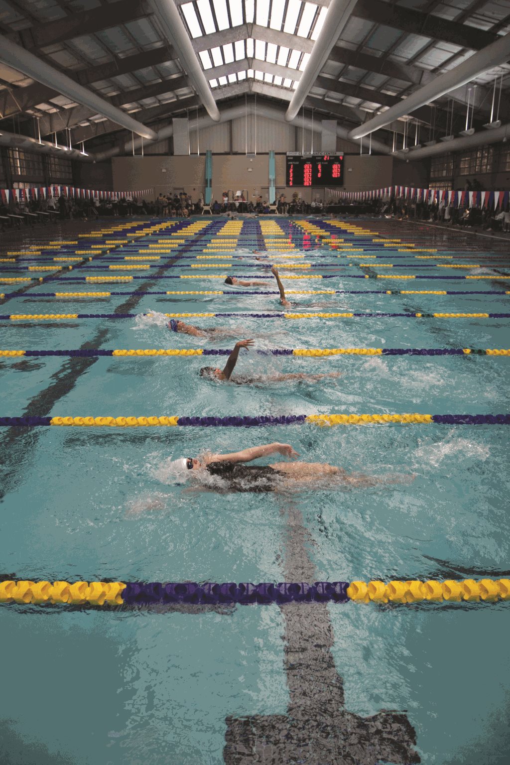 people swimming in indoor olympic pool