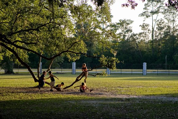 Kids playing at Losco Park