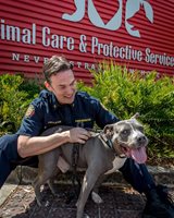 JFRD fireman with ACPS shelter dog