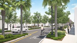 park street road project rendering - street lined with palm trees